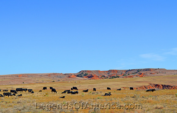 Harper County, OK - Landscape - 2