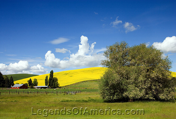 Idaho Farm