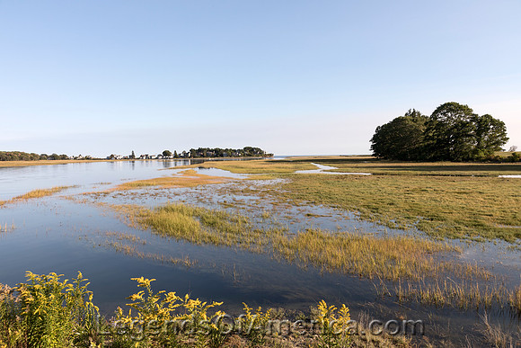 Marshy Mousam River near KennebunkHighsmith2017