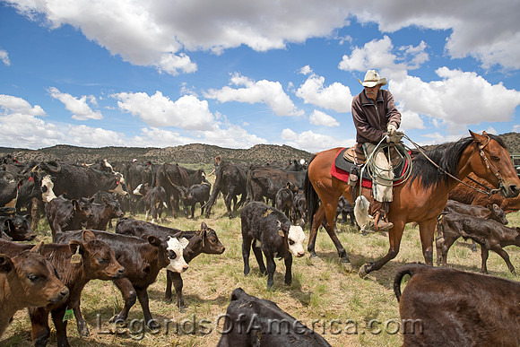 MoffatCountyCOCowboysHighsmith2016