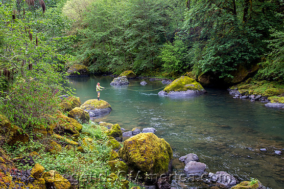 Molalla River Recreation Area, OR - 2