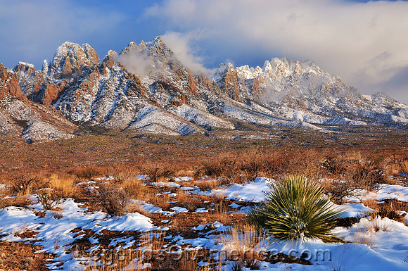 Organ Mountains, NM