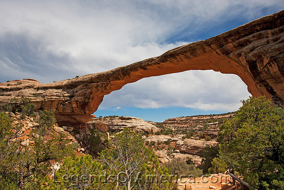 Owachomo Bridge, UT
