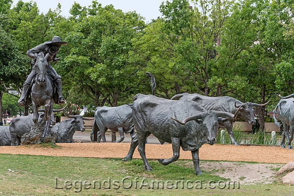 Dallas, TX - Pioneer Park Bronze Steers
