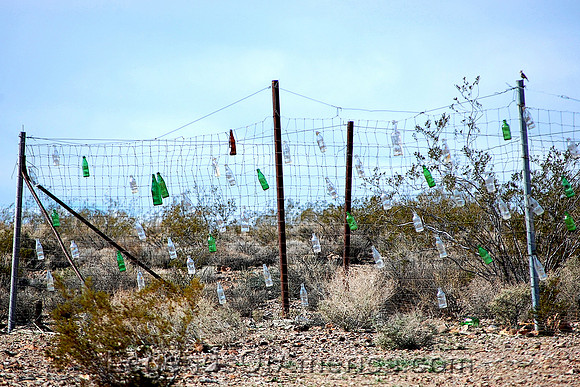 Rhyolite, NV - Bottle Fence