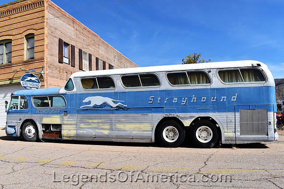 greyhound