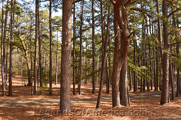 Ouachita National Forest, OK