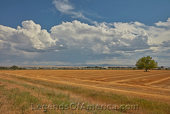 Blackfoot, ID - Hayfield