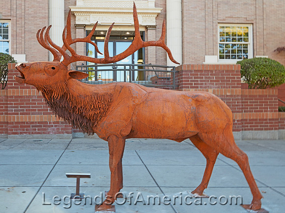 Coeur d'Alene, ID - Elk Sclupture