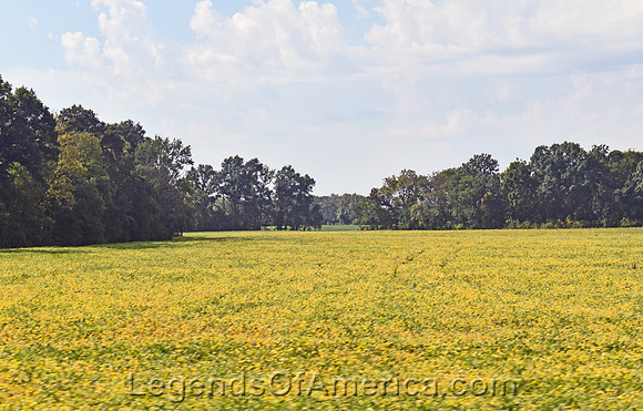 Franklin County, KS - Landscape - 5