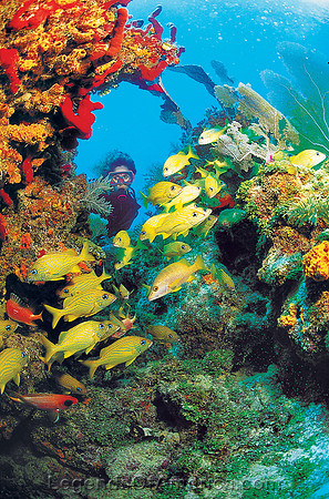 Florida Keys