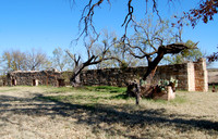 Texas Forts