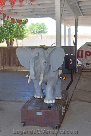 Springer, NM - Zayras Elephant