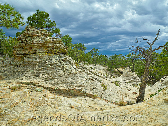 Las Animas County, CO - JE Canyon Ranch - 2