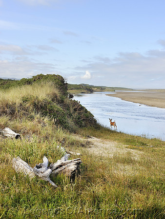 New River, OR