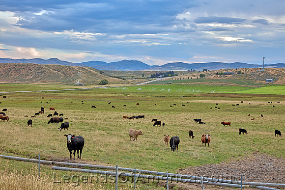 Southeast, ID - Landscape