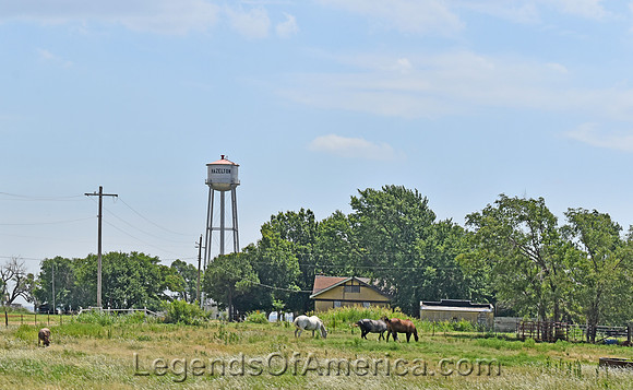 Hazelton, KS - Horses