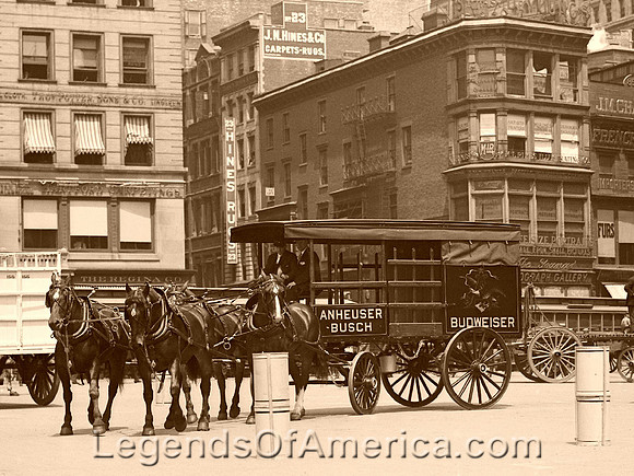 New York City, NY - Budweiser Wagon, 1908