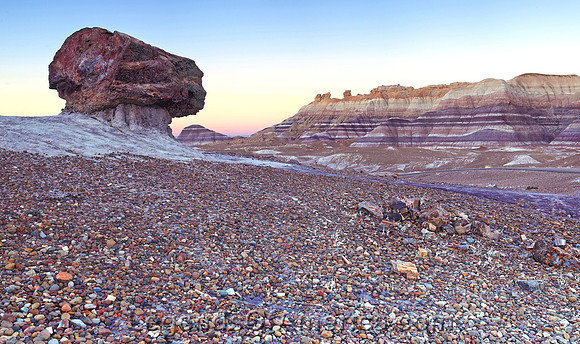 Petrified Forest, AZ - Big Log Blue Mesa