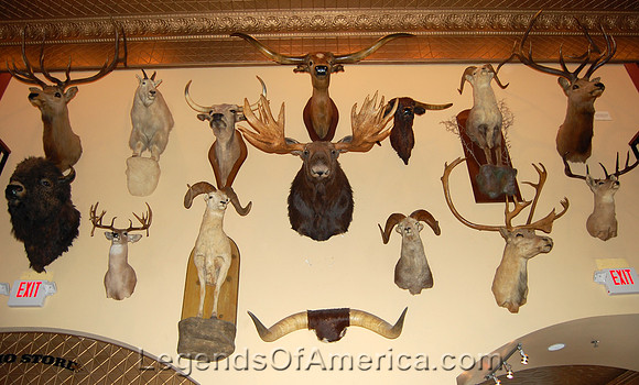 San Antonio, TX - Buckhorn Saloon - Interior - 2