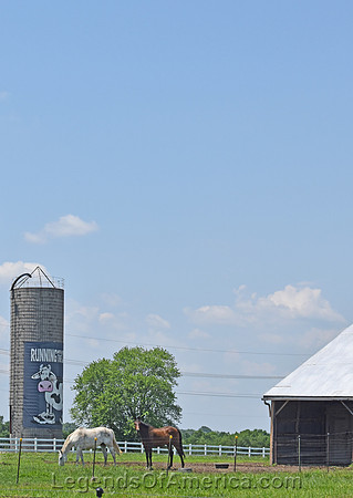 Wea, KS - Silo & Horses