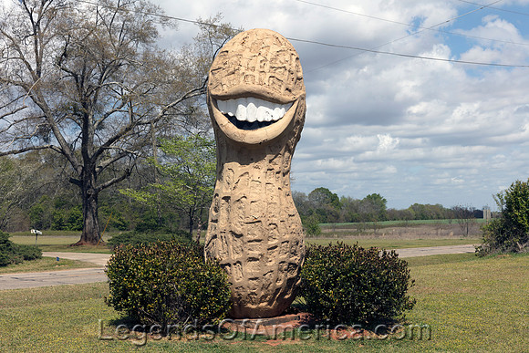 Plains, GA - Peanut