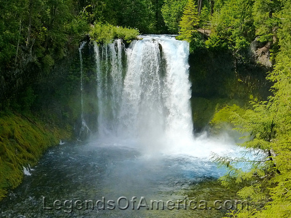 Koosah Falls, OR
