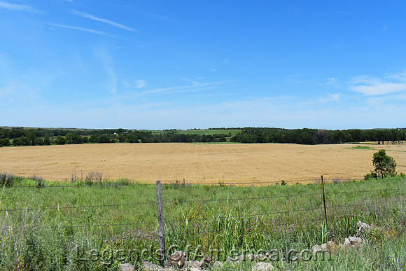 Dexter, KS - Area Wheat