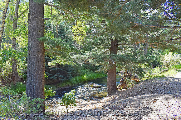 Cimarron Canyon, NM - Clear Creek