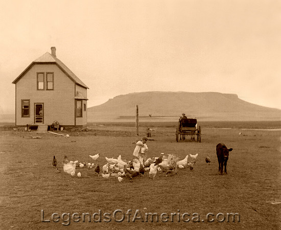 Minnesota homestead, 1910