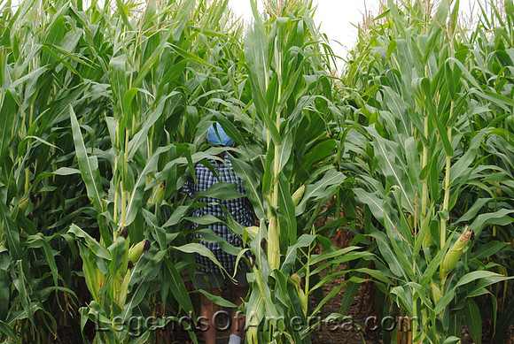 Dyersville, IA - Kathy Fading at Field of Dreams