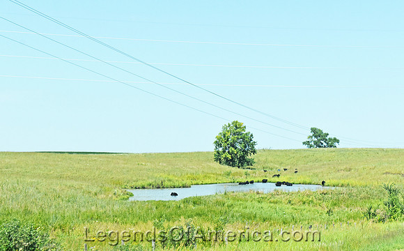 Greenleaf, KS - Area Cattle Pond