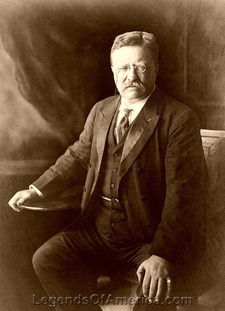 Theodore Roosevelt, 1910