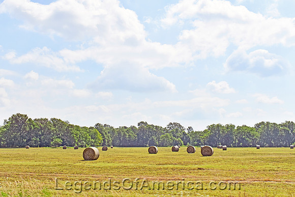 Woodson County, KS - Hay Bales