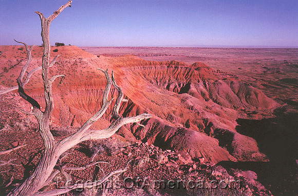 Petrified Forest, AZ - Chinde Mesa