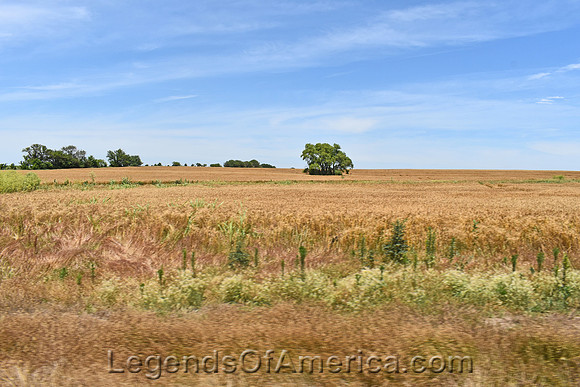 Oxford, KS - Landscape