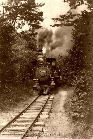 Through The Woods 1906