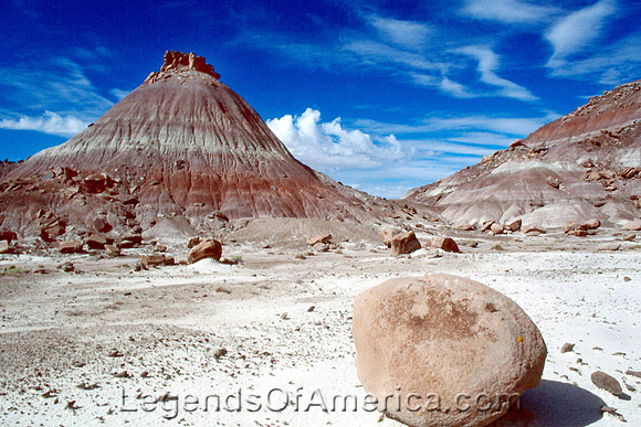 Petrified Forest, AZ - Landscape - 2