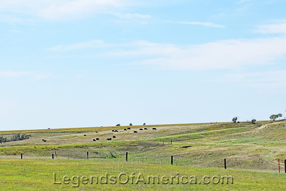 Norton County, KS - Landscape - 4