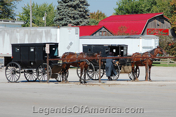 Shipshewana, IN - Amish Buggy - 3