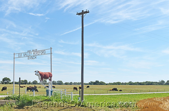 Elk City, KS - Hereford Ranch