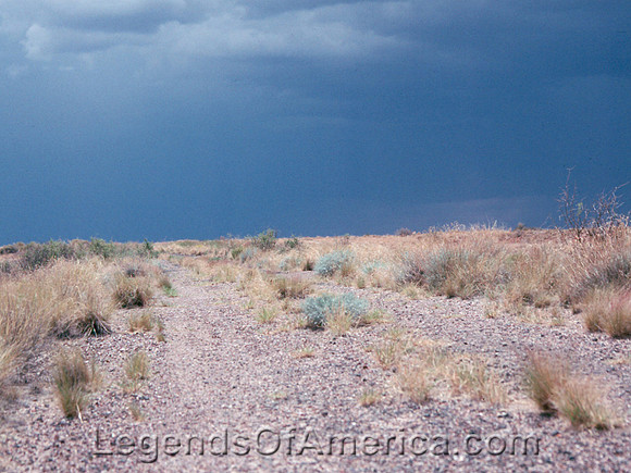 Petrified Forest, AZ - Route 66