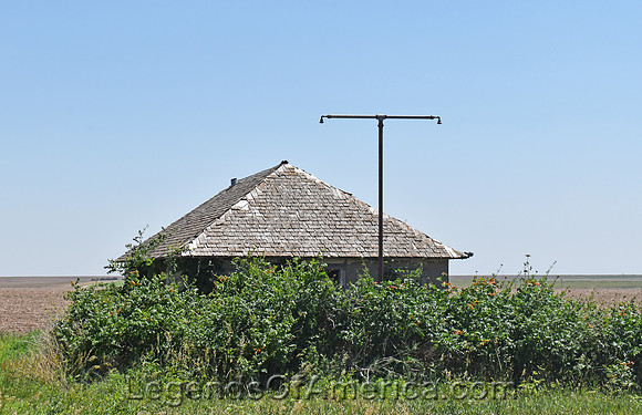 Page City, KS - Overgrown Building