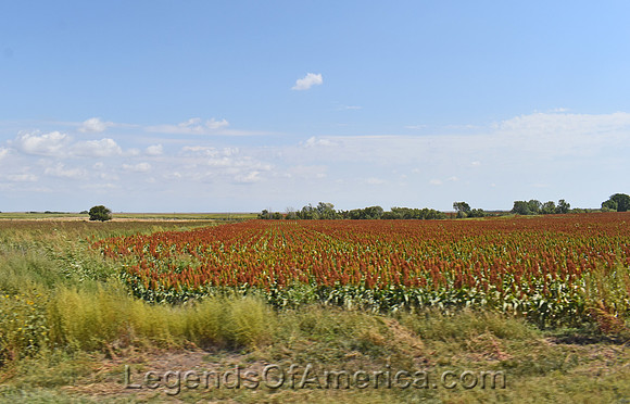 Pawnee County, KS - Landscape - 4