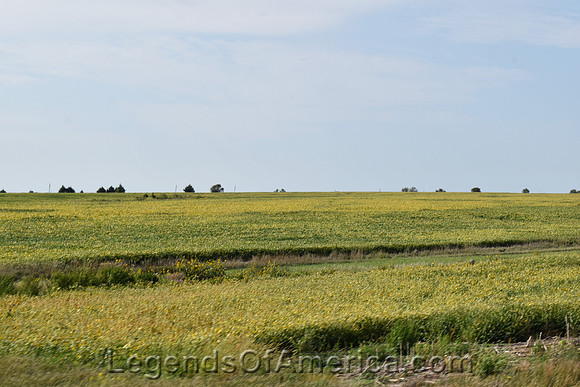 Geneseo, KS - Area Landscape