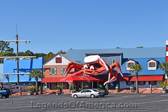 North Myrtle Beach, SC - Giant Crab