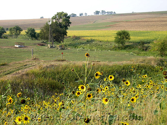Nebraska Farm