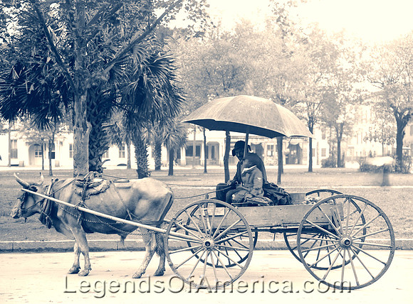 Savannah, GA - Bovinemobile, 1905