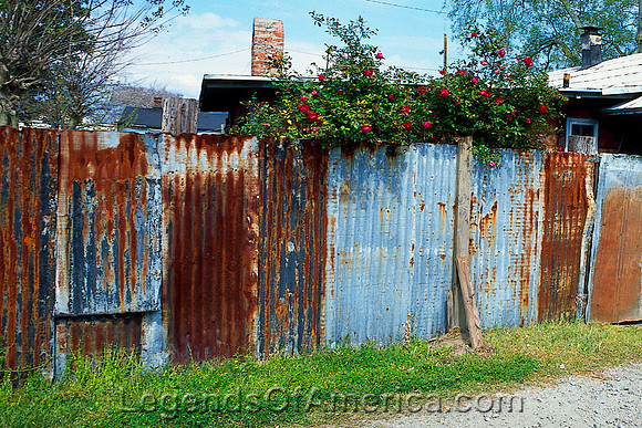 Savannah, GA - Fence
