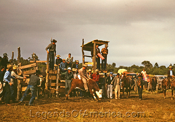 Pie Town, NM - Rodeo
